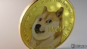 Read more about the article DOGE Surge to Weekly Peak Coincides with “XPayments” Boom